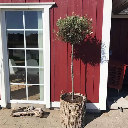 Feriehus Charming Terraced House By The And Forest