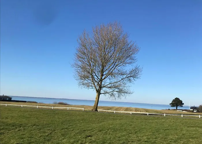 Charming Terraced House By The And Forest Bro (Funen)