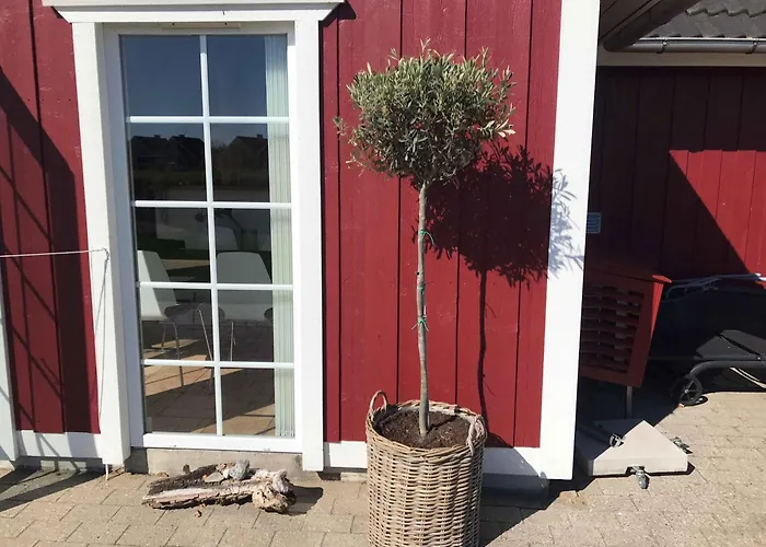 Feriehus Charming Terraced House By The And Forest